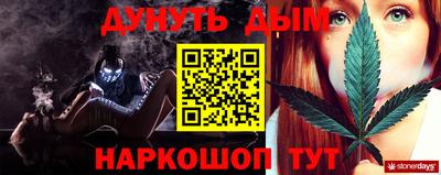сатива Краснодар