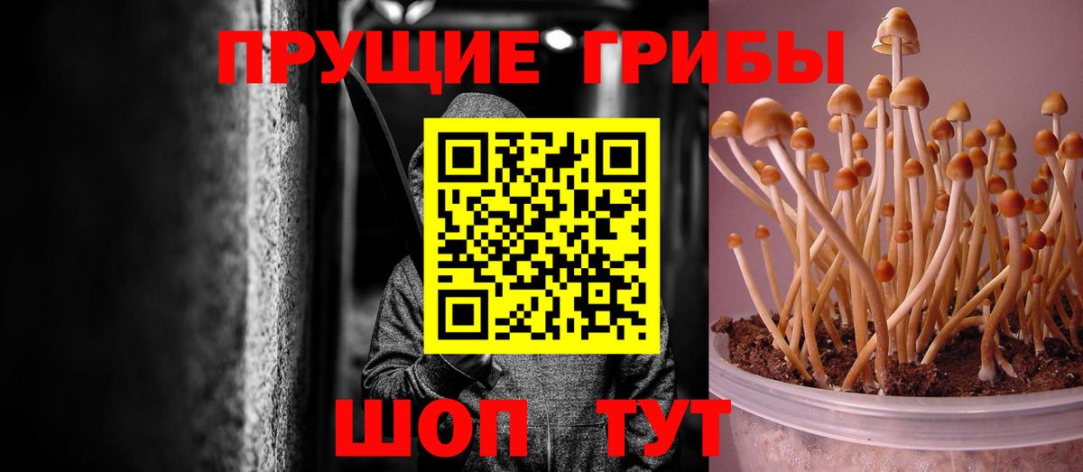 Ейск  Псилоцибиновые грибы MAGIC MUSHROOMS  Вход с VPN 